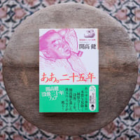 ああ。二十五年：開高健エッセイ選集