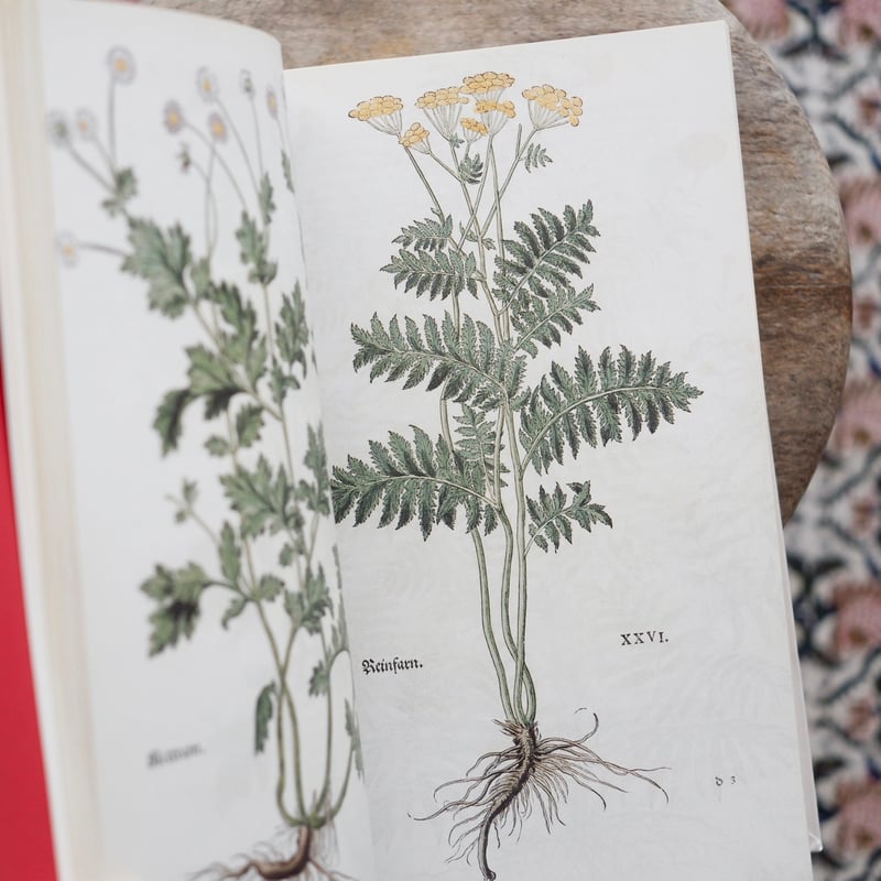 THE NEW HERBAL OF 1543〈復刻版〉 | すなば書房