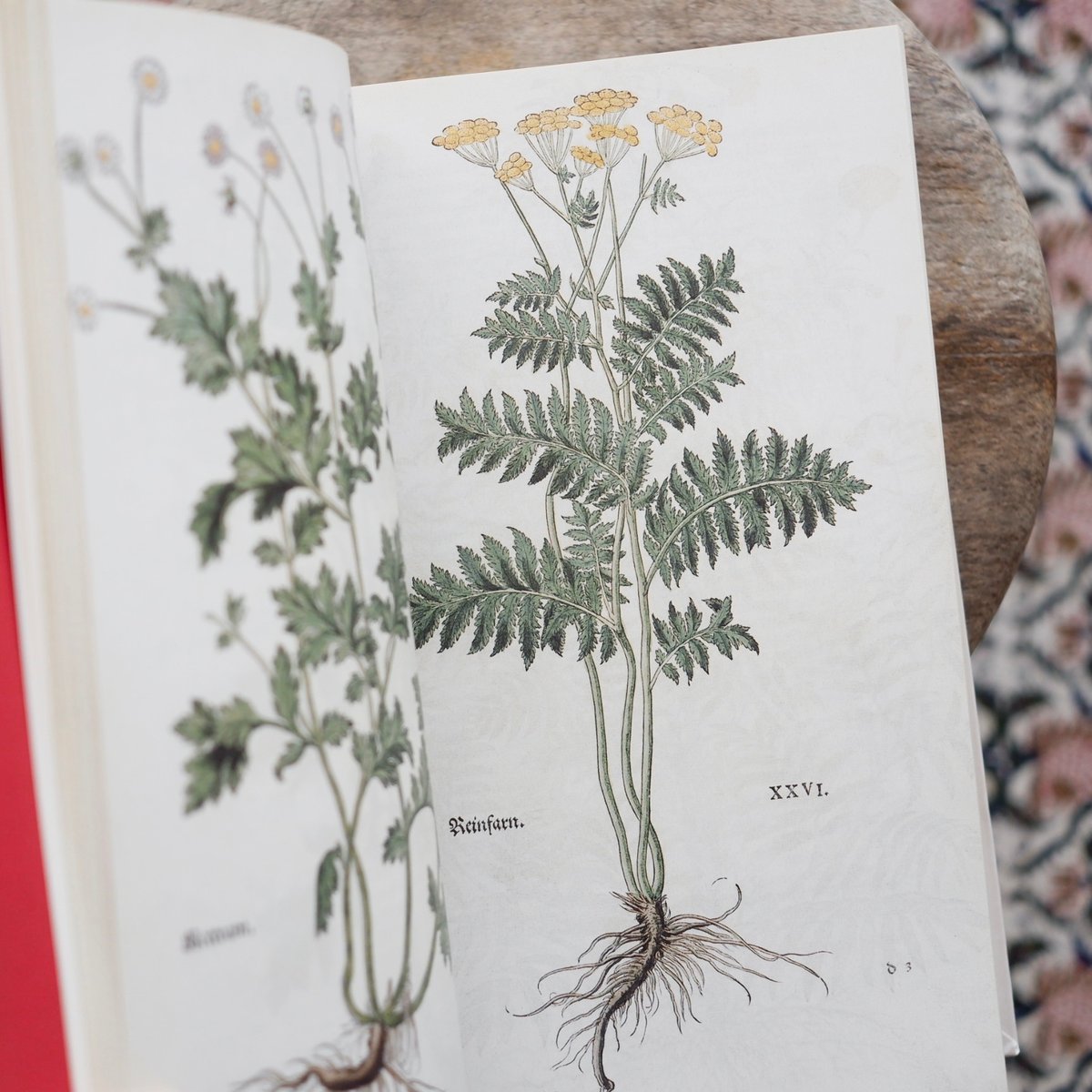 THE NEW HERBAL OF 1543〈復刻版〉 | すなば書房