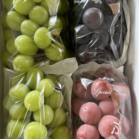 クイーンニーナ | STORES