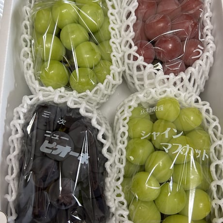 クイーンニーナ | STORES