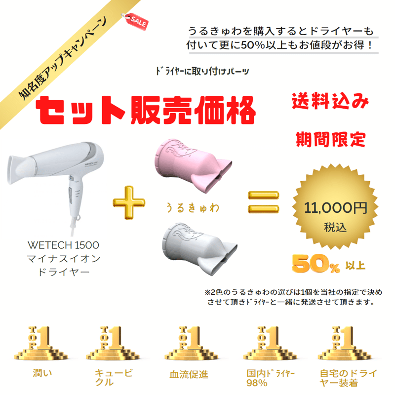 WETECH マイナスイオンドライヤーとうるきゅわセット販売-