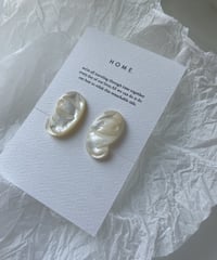 butterfly / shell