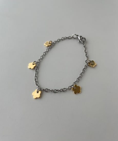 ALL stainless charm / bracelet