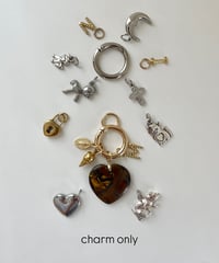【チャーム】customize charm