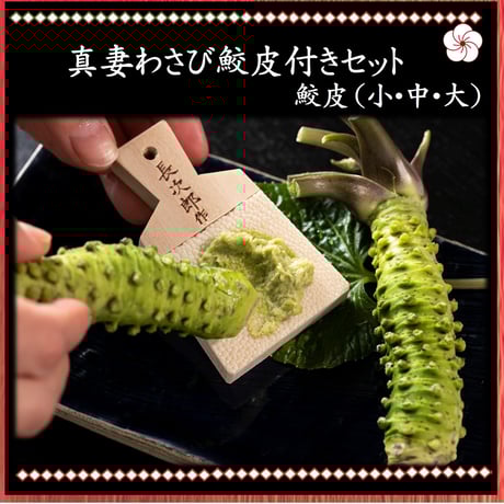 本わさび様 S&B たっぷりサイズ おろし生わさび80g【09/01 新商品