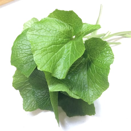 葉わさび　（送料無料）