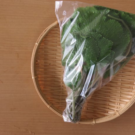 葉わさび　（送料無料）
