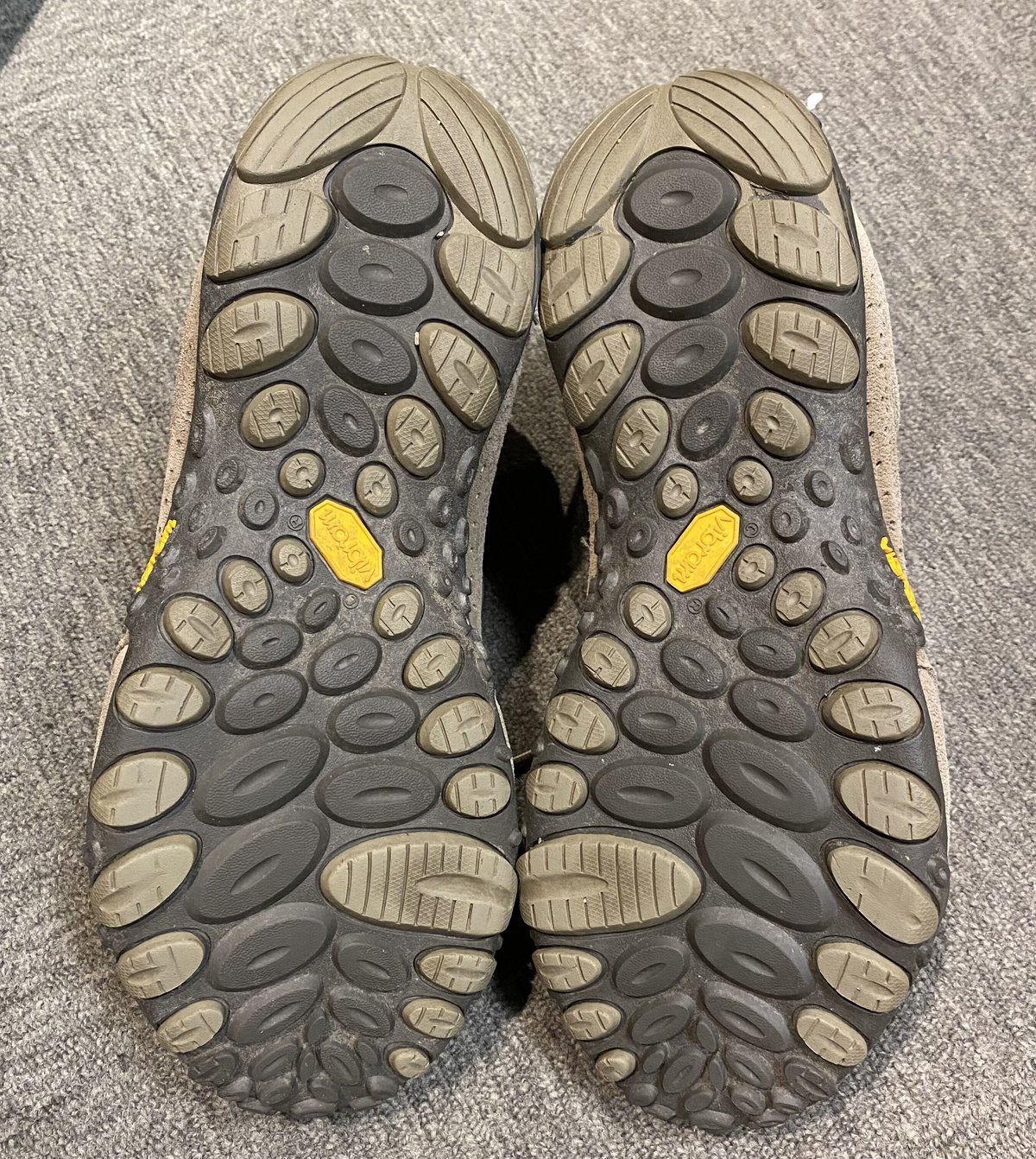 くるくるカメレオン  激レア新品未使用お値下げしました♥ カメレオン ウルトラBIGぬいぐるみ くるるんしっぽのレオン