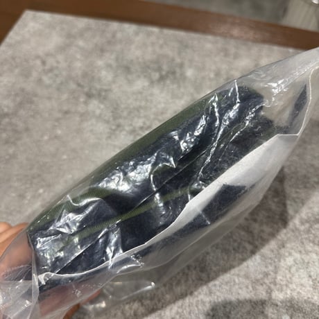 OREGON AERO ヘルメットパッド　未開封品