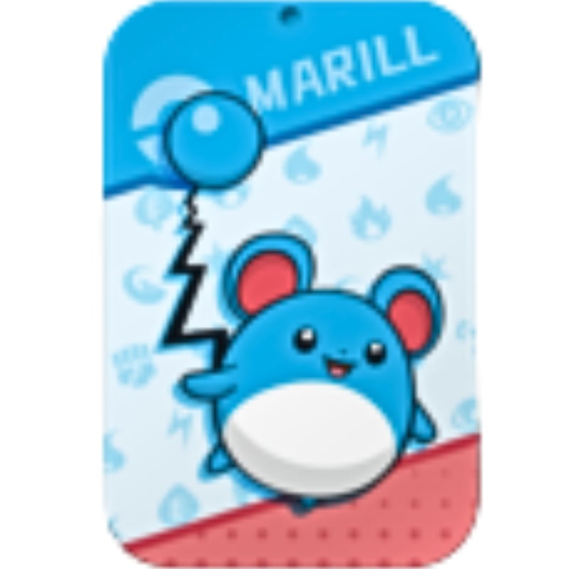 擦れがある場合がございます】ポケモンカード 中国限定 スライド缶