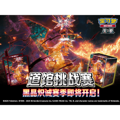 ポケモンカード 中国ジムイベント 2025 道馆挑战赛 テラスタルリザードン スリーブ (64枚)