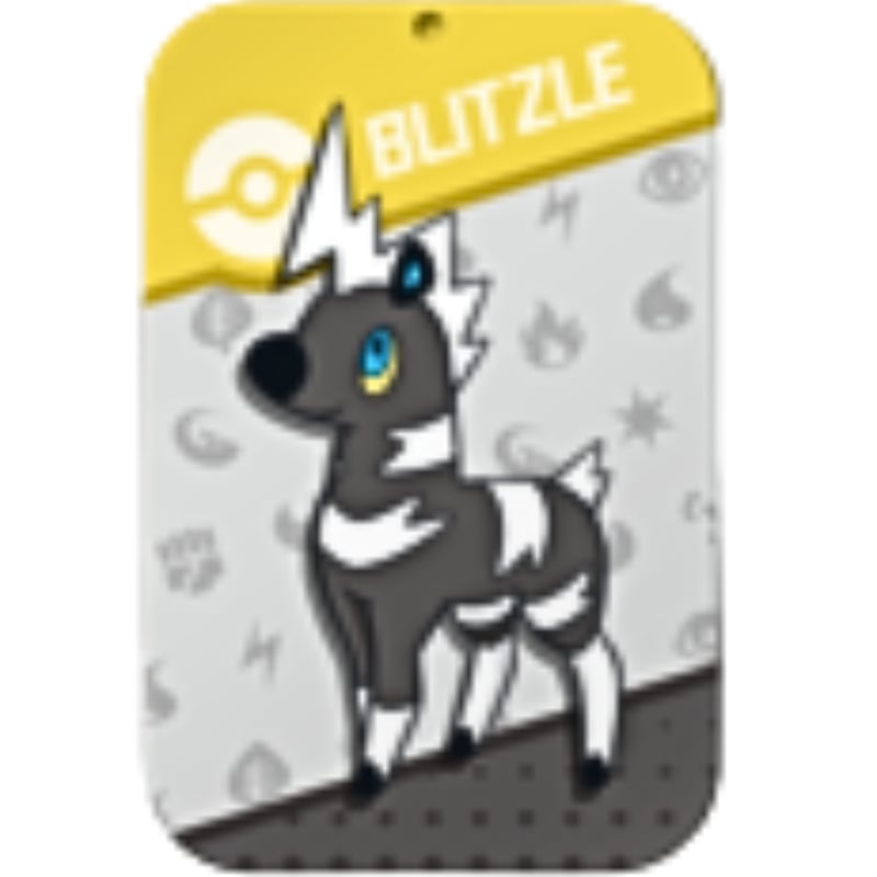 擦れがある場合がございます】ポケモンカード 中国限定 スライド缶