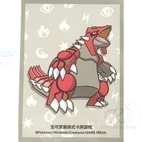 バラ】 日版 BOX限定 メガリザードンXのポンチョを着たピカチュウ