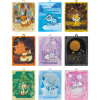【スレ傷がある場合がございます】ポケモンカード 中国限定 太晶盛聚 イーブイズ ラメ入りカードディスプレイ 【Everyday】