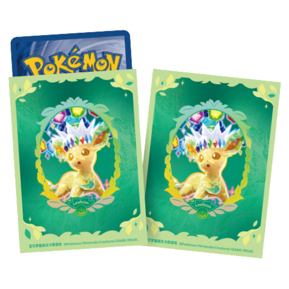 ポケモンカード 中国BOX封入 カードアルバムギフトセット カード