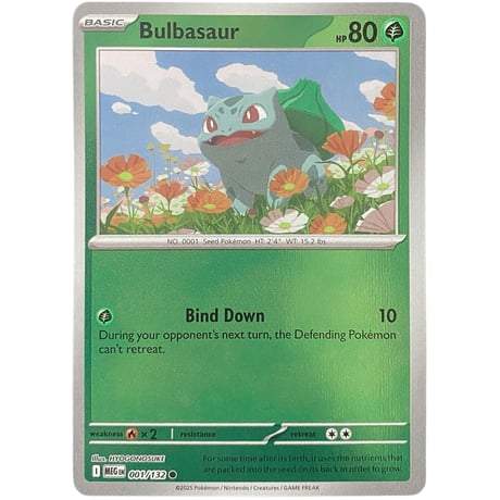 フシギダネ | STORES