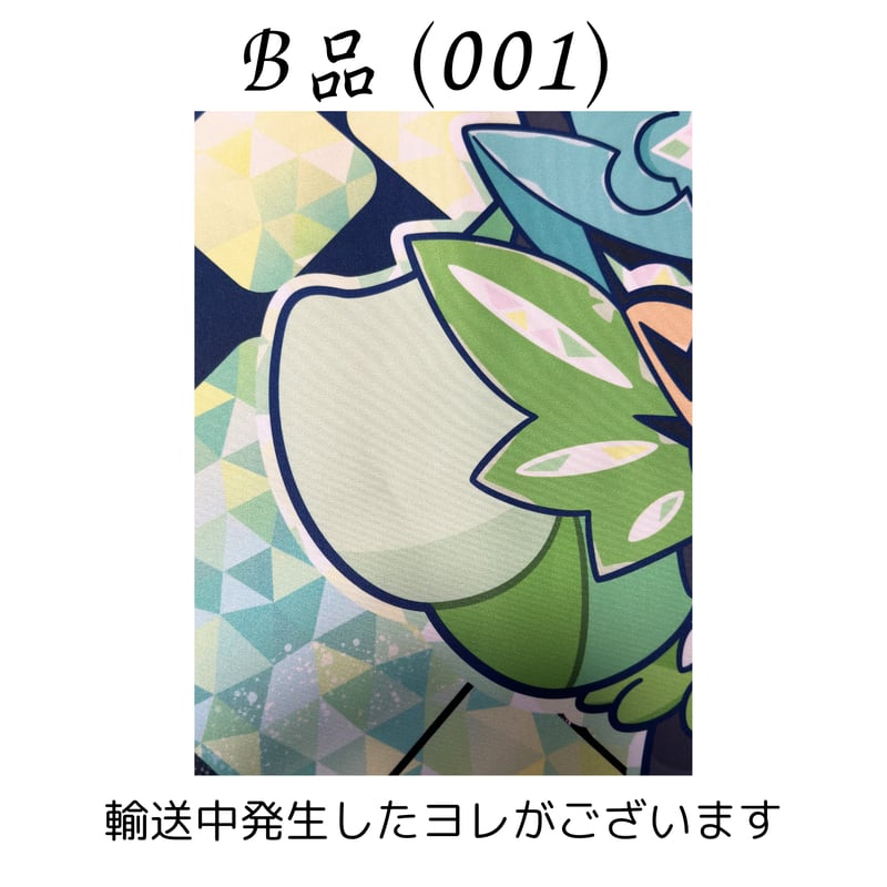 ポケモンカード 2025 Europe International Championships