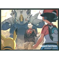 バラ】 日版 ポケセン限定 メガヤドランのポンチョを着た