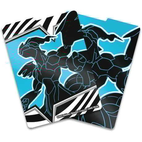 ゼクロム | STORES