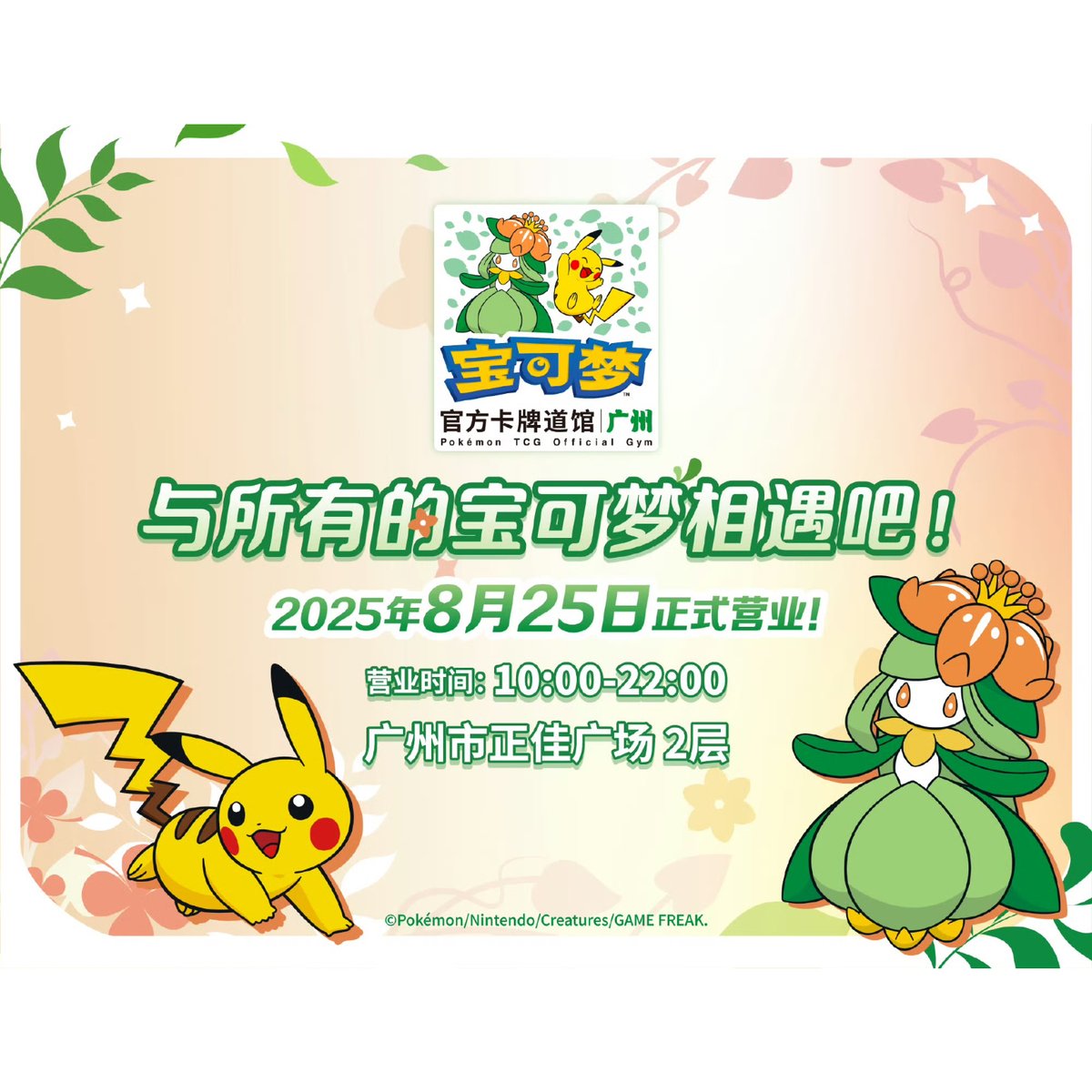 海外ポケモンカードジム店舗限定 広州 ピカチュウ&ドレディア スリーブ
