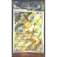 カードは付属しません】ポケモンカード 中国限定 ギフトセット