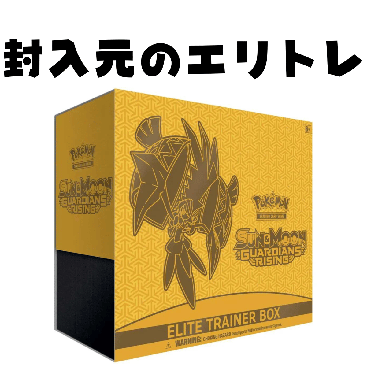 海外限定 ポケモン 金属 ダイス 理知的 ダメカン ブラックカラー
