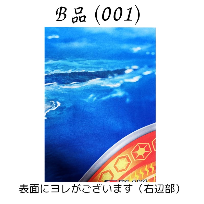 ポケモンカード 2024 Regional Championships ラティアス プレイマッ