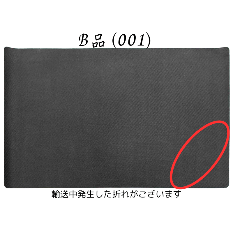 ポケモンカード 2015 Regional Championships メガバンギラス プレイ