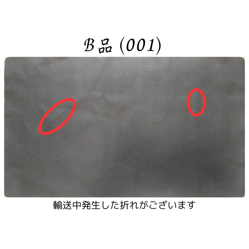 ポケモンカード 2015 Play! Regional Championships メガラティ