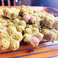 桜の抹茶ケーキ(全20個)