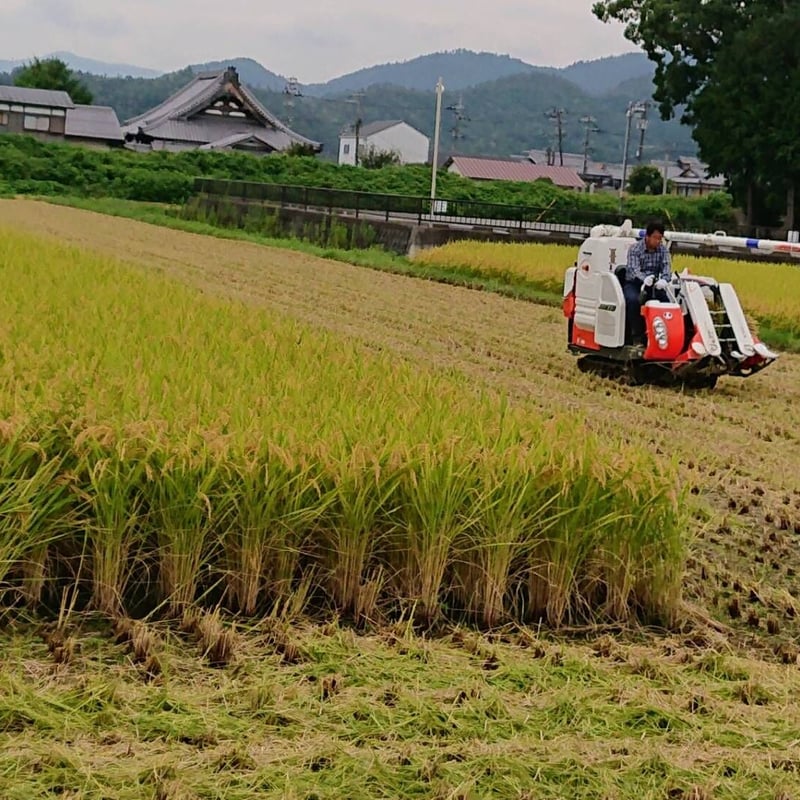京都産きぬひかり】農家直送のお米｜最高ランク特A評価・新米｜令和7