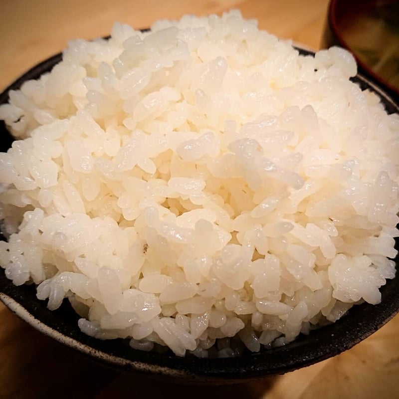 完売【最高ランク特A評価】令和6年産京都丹波産キヌヒカリ10kg 完売【最高ランク特A評価】令和6年産京都丹波産キヌヒカリ10kg