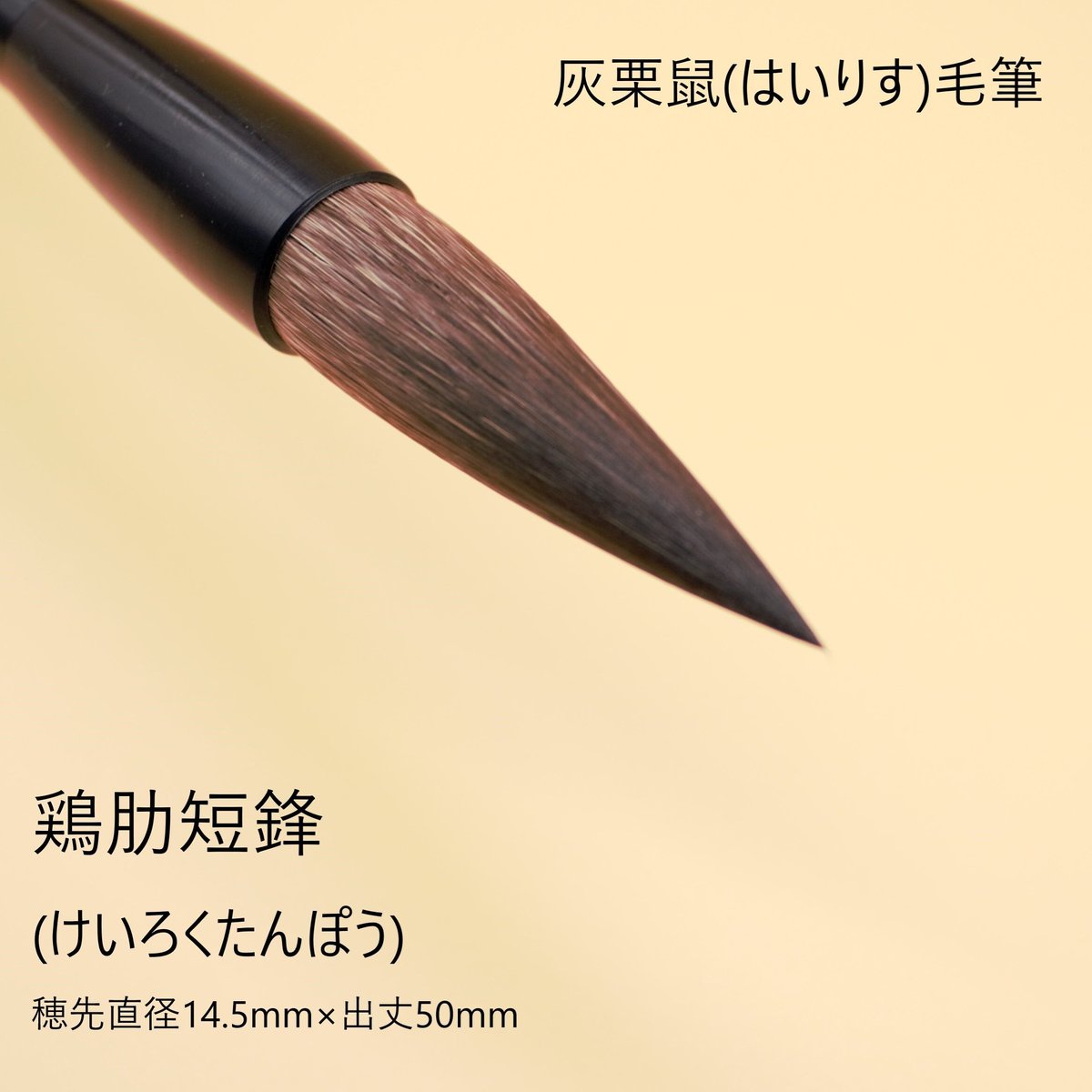 【中古】 鶏肋な愚作随筆抄 灰栗鼠毛筆『雞肋』(短鋒) | 創業寛文12年 菊屋公式オンラインショップ