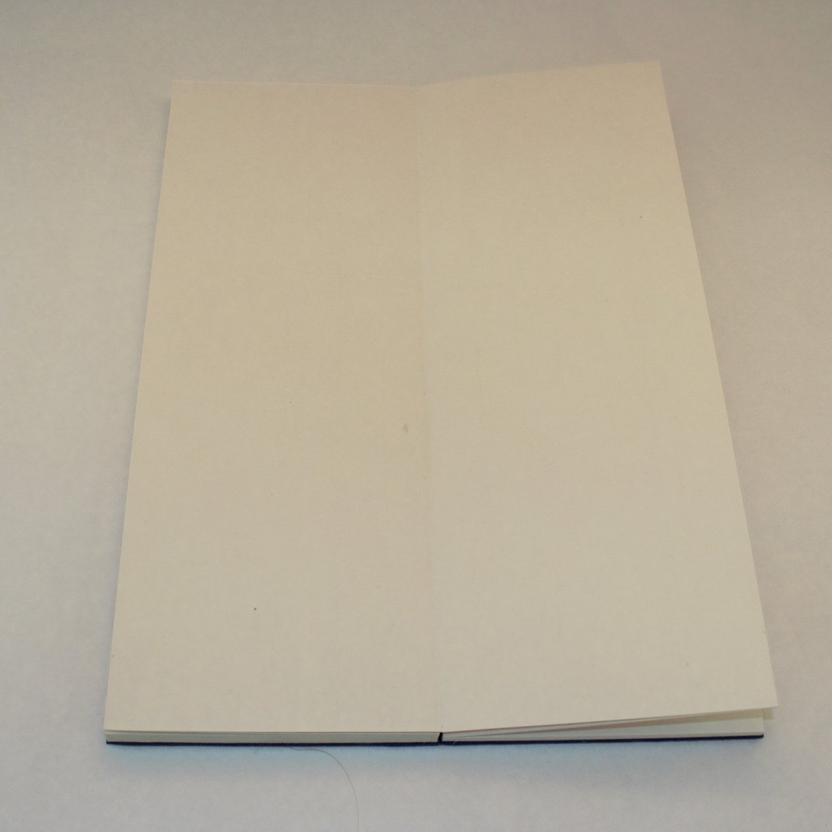 清風金巻き一丁半2本他　4掲載 和気産業 スライド丁番 キャッチ付き 半かぶせ カップ径35mm 2個 NS