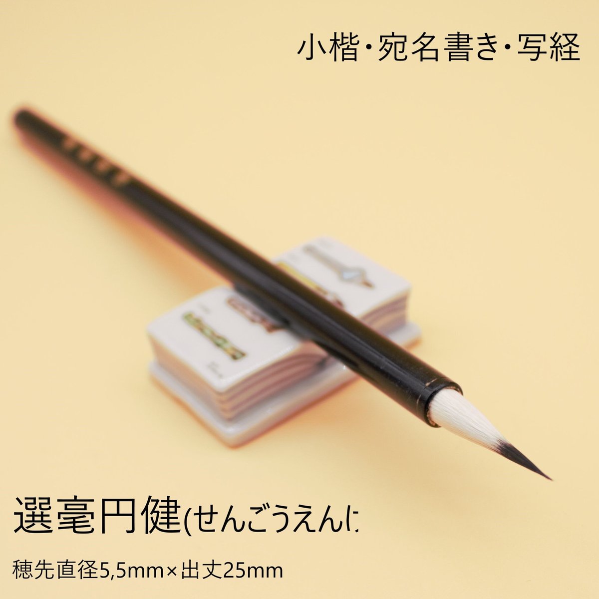 お買い得】黒軸『選毫圓健』(せんごうえんけん) 10本セット