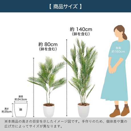 光触媒インテリアグリーン アレカヤシ80cm 鉢付き 25127●光触媒インテリアグリーン アレカヤシ80cm 鉢付き●エスエスケイ【取寄せ商品】
