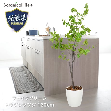 光触媒インテリアグリーン ドウダンツツジ120cm 鉢付き 25142●光触媒インテリアグリーン ドウダンツツジ120cm 鉢付き●エスエスケイ【取寄せ商品】