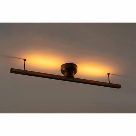 ＬＩＧＨＴＩＮＧ　ＤＵＣＴ　ＲＡＩＬ　Ｗｉｔｈ　ＬＥＤ　ＢＫ BRID