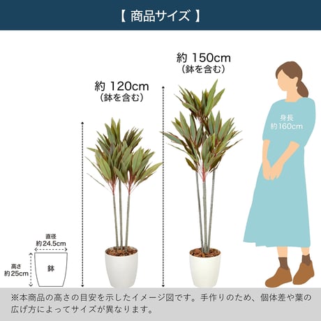 光触媒インテリアグリーン ドラセナ120cm 鉢付き 25129●光触媒インテリアグリーン ドラセナ120cm 鉢付き●エスエスケイ【取寄せ商品】