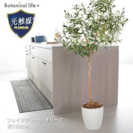 光触媒インテリアグリーン オリーブ150cm鉢付き 25124●光触媒インテリアグリーン オリーブ150cm鉢付き●エスエスケイ【取寄せ商品】