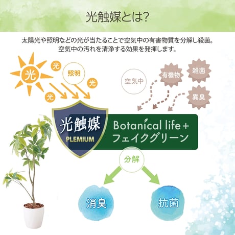 光触媒インテリアグリーン パキラ130cm鉢付き 23207●光触媒インテリアグリーン パキラ130cm鉢付き●エスエスケイ【取寄せ商品】