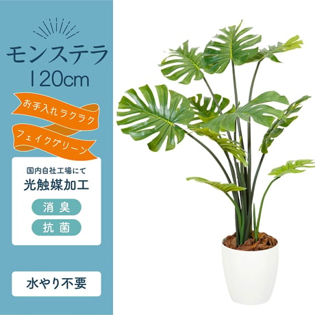 光触媒インテリアグリーン モンステラ120cm 鉢付き 25131●光触媒インテリアグリーン モンステラ120cm 鉢付き●エスエスケイ【取寄せ商品】