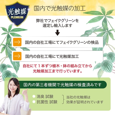 光触媒インテリアグリーン モンステラ150cm 鉢付き 23132●光触媒インテリアグリーン モンステラ150cm 鉢付き●エスエスケイ【取寄せ商品】