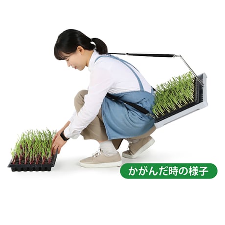 KSFARM　スピード苗トレー KS-ST●KSFARM　スピード苗トレー●平城商事 KS-ST●KSFARM　スピード苗トレー●平城商事【取寄せ商品】