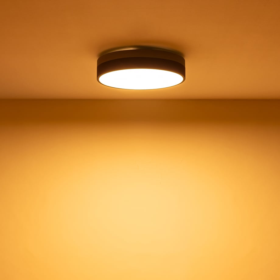 65dee72e6005370001e311c6