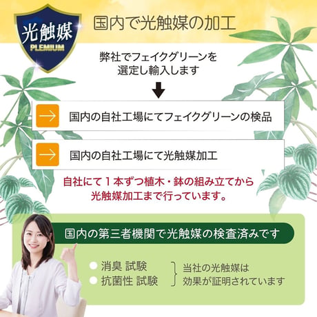 光触媒インテリアグリーン オリーブ130cm鉢付き 23208●光触媒インテリアグリーン オリーブ130cm鉢付き●エスエスケイ【取寄せ商品】