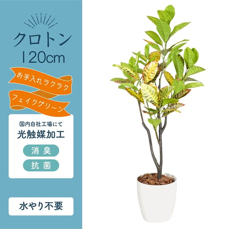 光触媒インテリアグリーン クロトン120cm 鉢付き 25137●光触媒インテリアグリーン クロトン120cm 鉢付き●エスエスケイ【取寄せ商品】