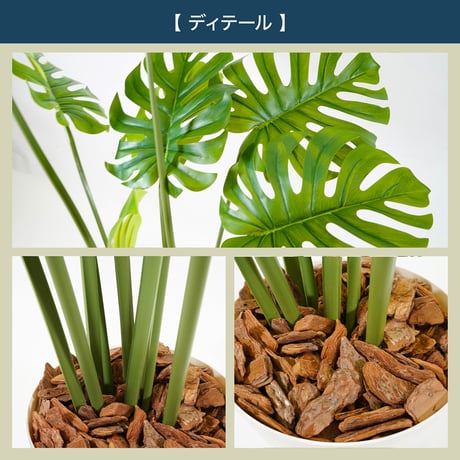 光触媒インテリアグリーン モンステラ150cm 鉢付き 23132●光触媒インテリアグリーン モンステラ150cm 鉢付き●エスエスケイ【取寄せ商品】