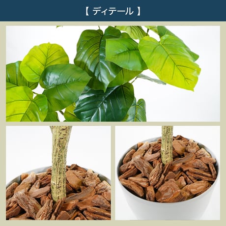 光触媒インテリアグリーン ウンベラータ150cm 鉢付き 25134●光触媒インテリアグリーン ウンベラータ150cm 鉢付き●エスエスケイ【取寄せ商品】